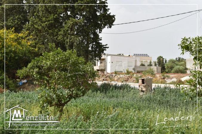 Vente terrain/ ????☎27246324