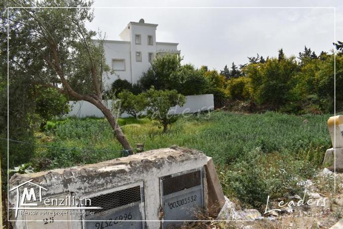 Vente terrain/ ????☎27246324