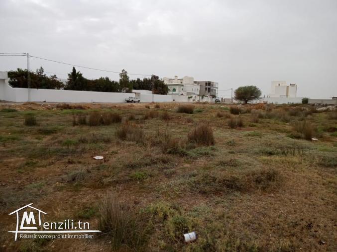 terrain constructible à hammamet sud pres de hotel alhambra
