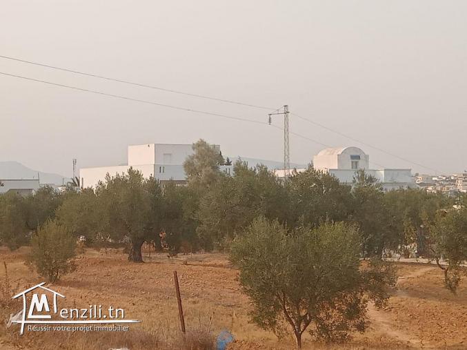 LOTS TERRAIN CONSTRUCTIBLE a BESBASIA DE HAMMAMET