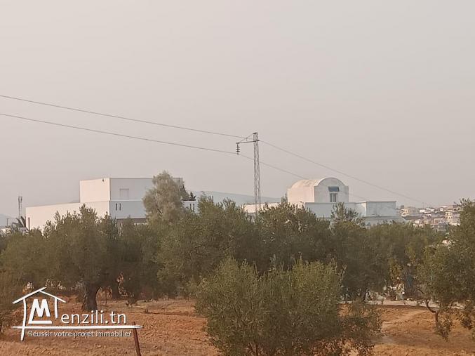 LOTS TERRAIN CONSTRUCTIBLE a BESBASIA DE HAMMAMET