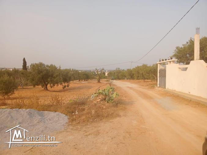 LOTS TERRAIN CONSTRUCTIBLE a BESBASIA DE HAMMAMET