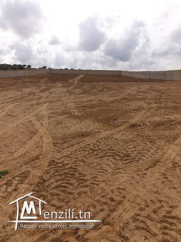 Luxueux Terrain à Hammamet