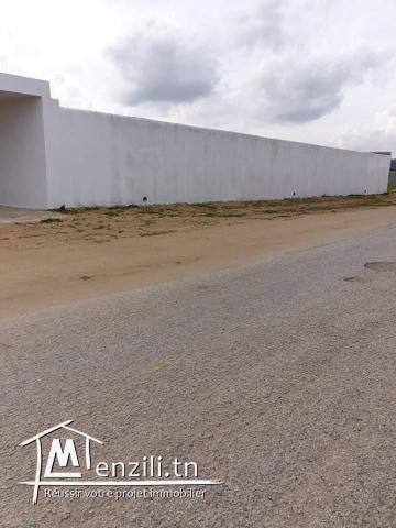 Luxueux Terrain à Hammamet