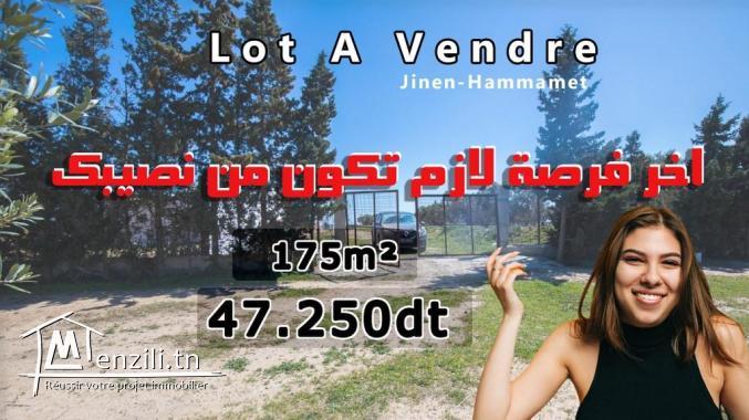 الحلمة عليك???? والباقي???? علينا ????????