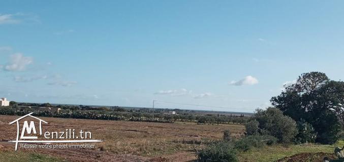 أرض قريبة لياسمين الحمامات والبحر*28.910.811