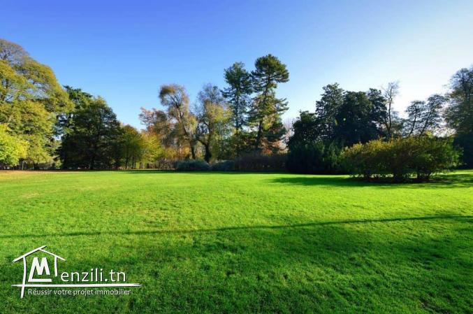 A Vendre Terrain à coté du Golf Soukra