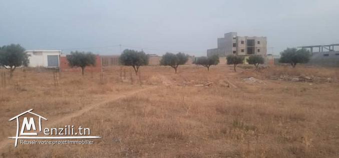 Terrain nu à vendre