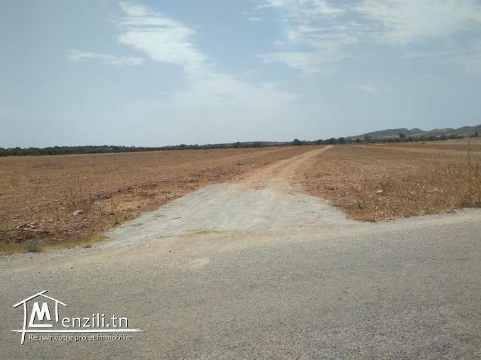 أرض قريبة لياسمين الحمامات  و قرطاج لاند--*28.910.811