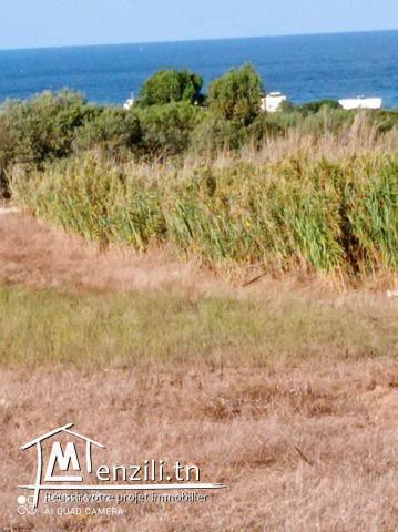 17000m² a vendre vu panoramque a la plage