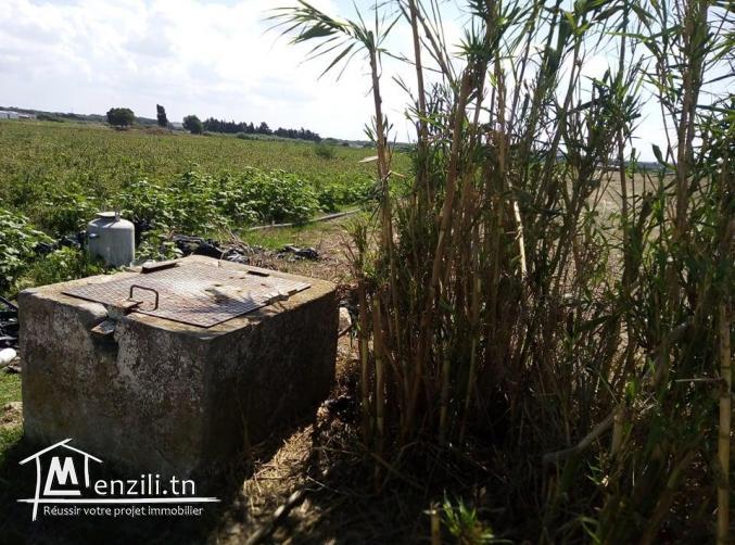 Terrain Agricole à vendre à Haart Chouara,Hammem el Ghazez au bord d'une route