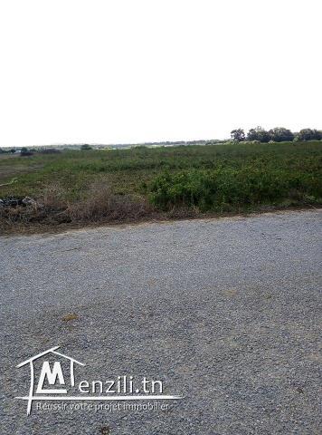Terrain Agricole à vendre à Haart Chouara,Hammem el Ghazez au bord d'une route