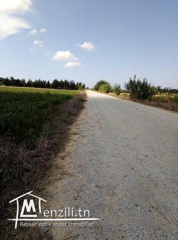 Terrain Agricole à vendre à Haart Chouara,Hammem el Ghazez au bord d'une route