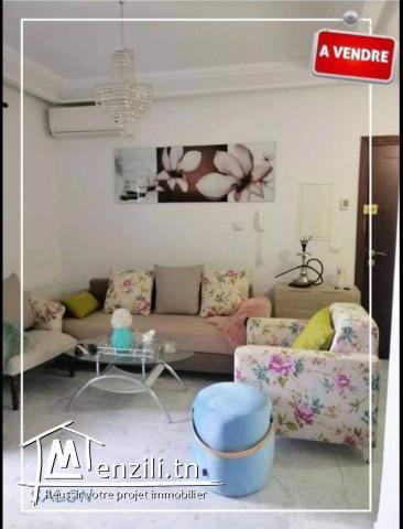 APPARTEMENT MEUBLE A VENDRE