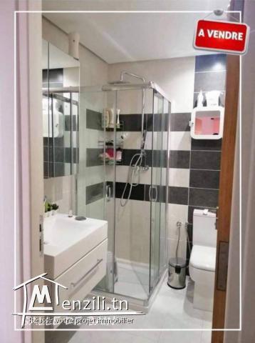 APPARTEMENT MEUBLE A VENDRE