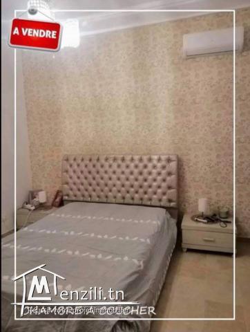 APPARTEMENT MEUBLE A VENDRE