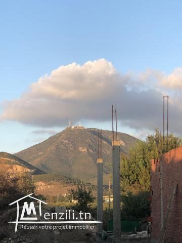 terrain a vendre de 300 m2 a Morneg