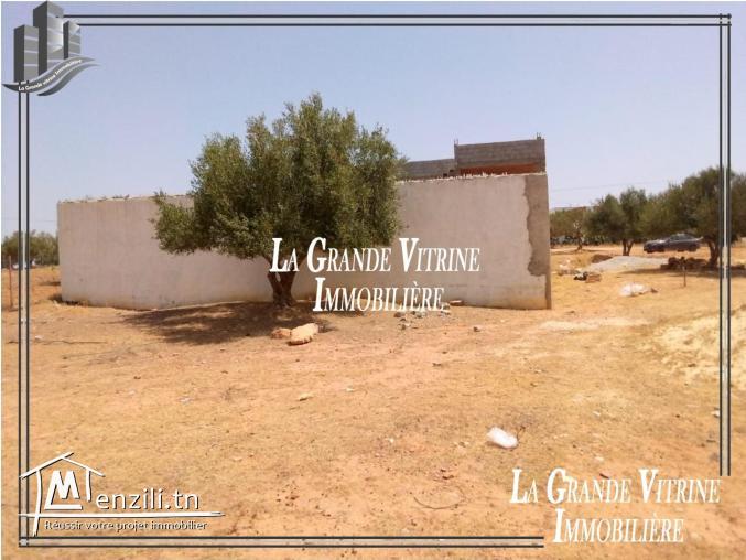 Terrain à Sidi Hammed
