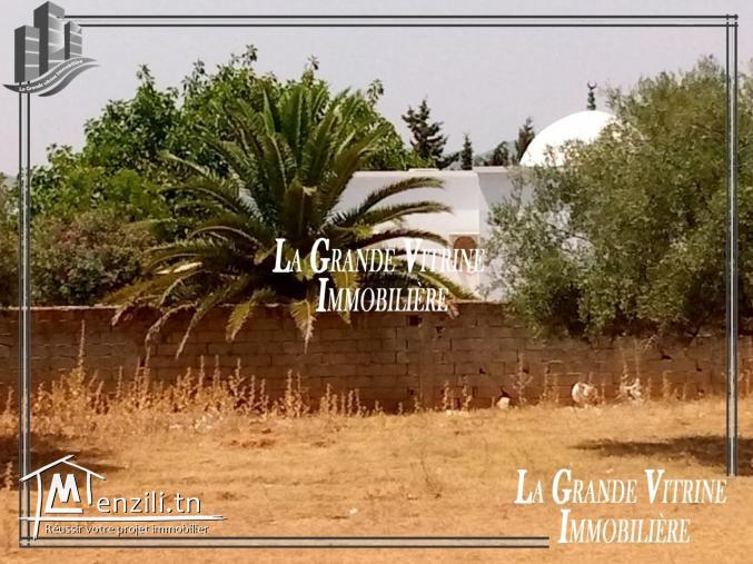 Terrain à Sidi Hammed