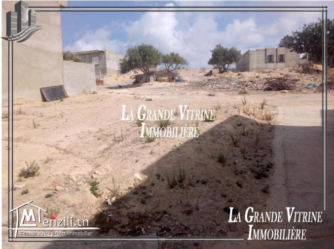 terrain à Cité Riadh hammamet