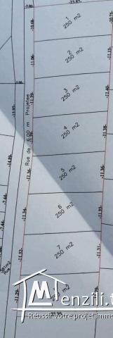 lotissement à Dar Allouch