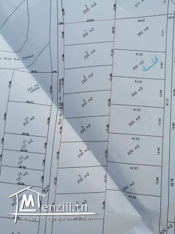 lotissement à Dar Allouch