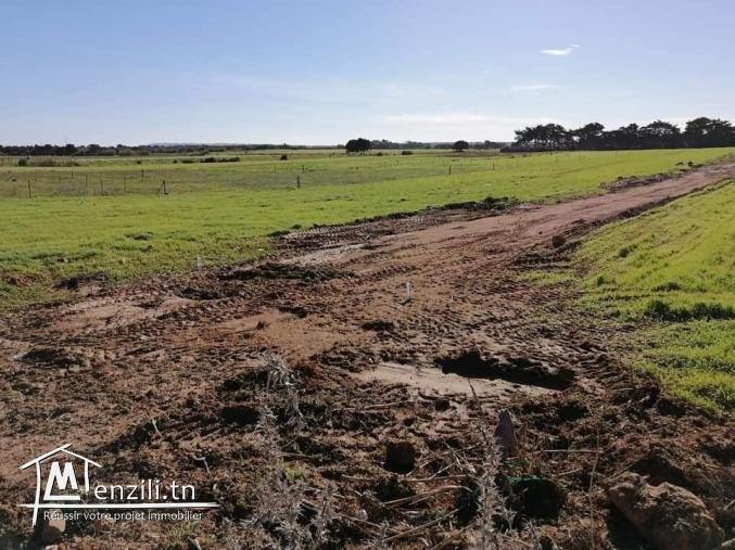 lotissement à Dar Allouch