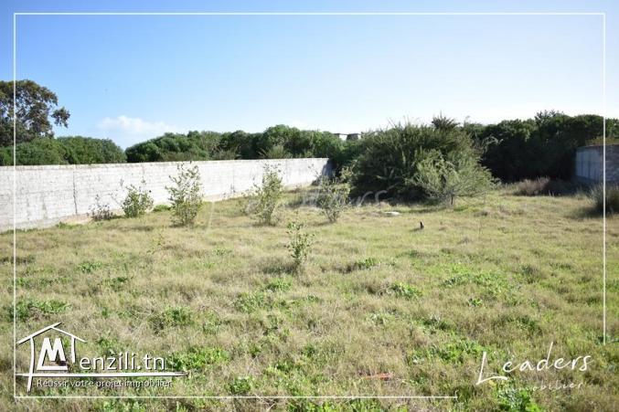 Vente terrain/ ????☎27246327