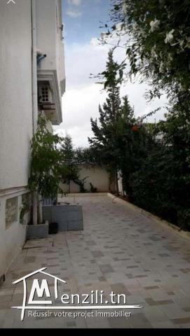 فرصة للبيع بالعقبه دندان 