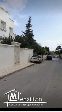 فرصة للبيع بالعقبه دندان 