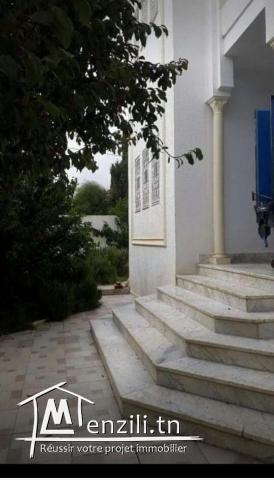 فرصة للبيع بالعقبه دندان 