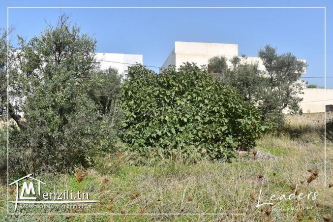 Vente terrain/ ????☎27246327