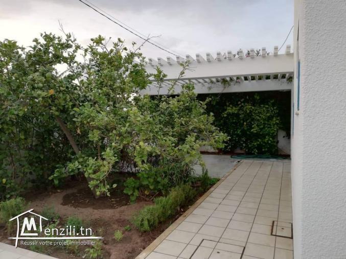 TUNISIE - EL MAAMOURA - NABEUL