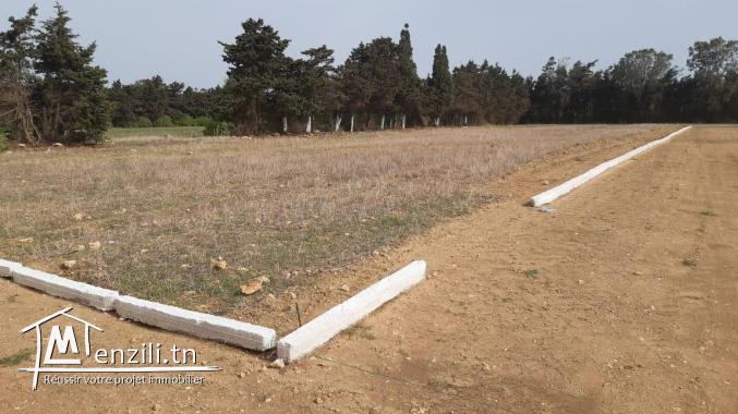 اراضي مقسمة  تبعد 2كم على شط دار علوش المزيان