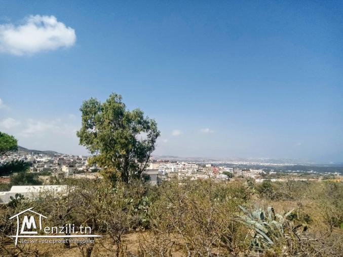 Terrain a rafraf 500m