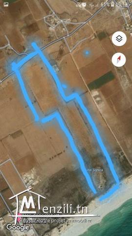 أرض على البحر للبيع في لبنة منزل تميم مساحتها 12 هكتار