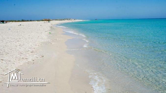 أرض على البحر للبيع في لبنة منزل تميم مساحتها 12 هكتار