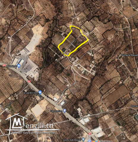 « Lotissement Belvédère »  Chott Mariem Sousse