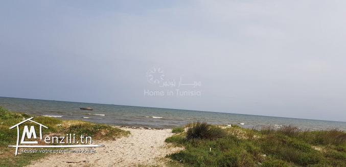 VENTE TERRAIN CONSTRUCTIBLE CITÉ SIDI ABDELHAMID