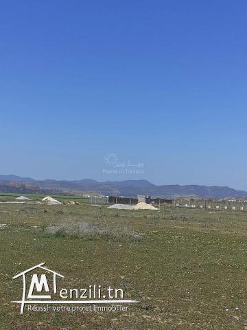 VENTE TERRAIN HAMMAMET • HAMMAMET SUD