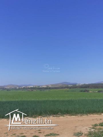 VENTE TERRAIN HAMMAMET • HAMMAMET SUD