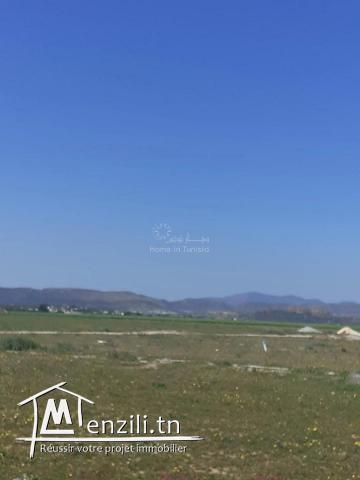 VENTE TERRAIN HAMMAMET • HAMMAMET SUD