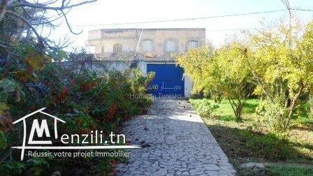 VENTE MAISON DE VILLAGE RAOUED