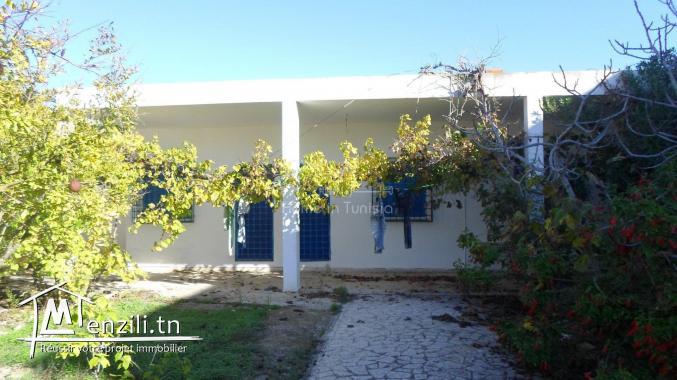 VENTE MAISON DE VILLAGE RAOUED