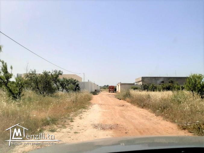 terrain de 500m a vendre à el mghira enzel