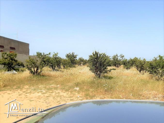 terrain de 500m a vendre à el mghira enzel