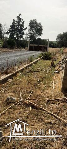 SUPERBE OPPORTUNITÉ TERRAIN 2260MC