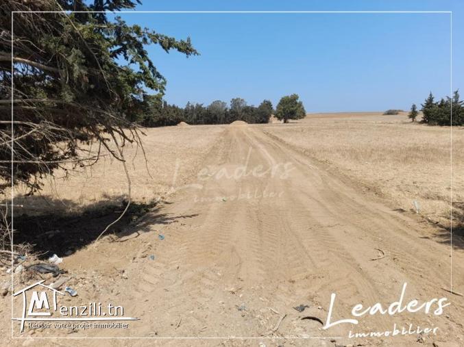 Vente terrain avec permis de bâtir / ????☎27246327