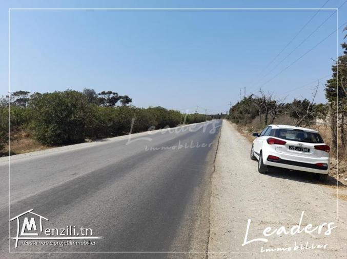 Vente terrain avec permis de bâtir / ????☎27246327