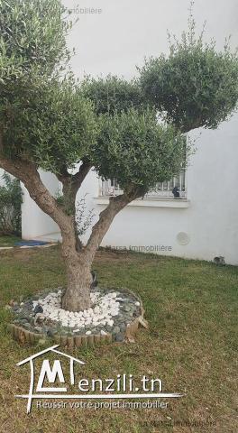 A Louer villa s4 avec piscine et jardin à Gammarth